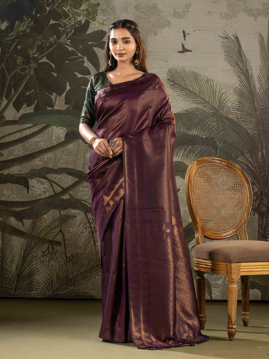 Royal Plum Tissue Silk Saree with Contrast Ikat Border